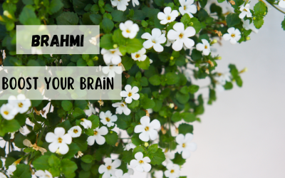 Boost Your Brain With Brahmi