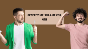 benefits of shilajit for men