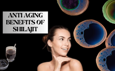 Anti Aging Benefits of Shilajit