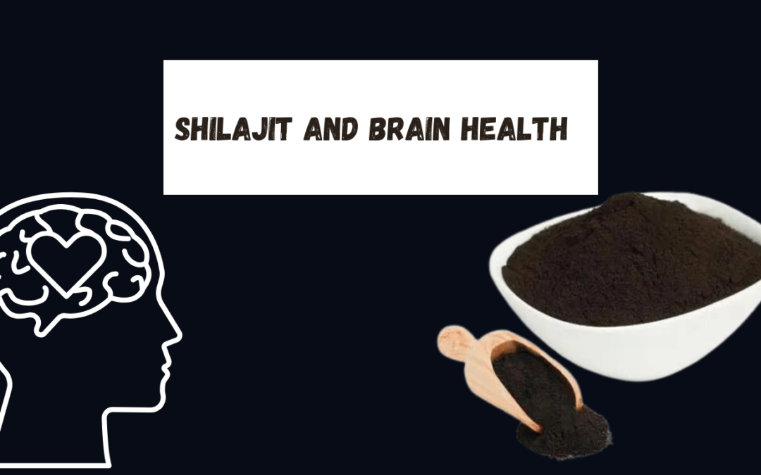 Shilajit and Brain Health