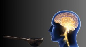 Shilajit cognitive benefit