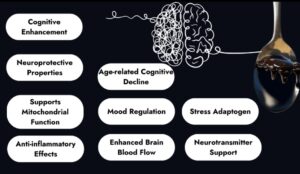 Benefits of Shilajit for brain health 