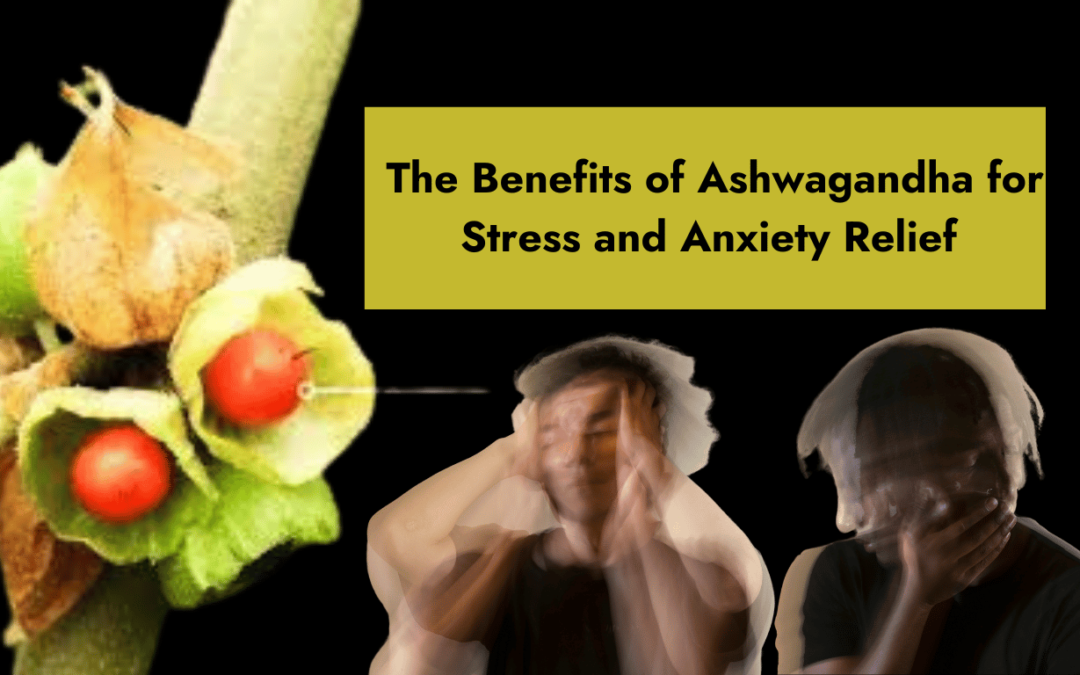 The Benefits of Ashwagandha for Stress and Anxiety Relief