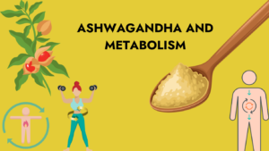 Ashwagandha and metabolism