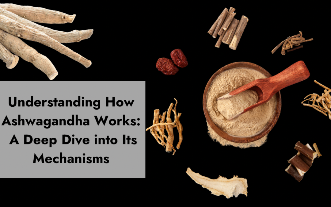 Understanding How Ashwagandha Works: A Deep Dive into Its Mechanisms