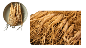 Ginseng compared to ashwagandha 