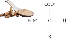 Amino acids in ashwagandha