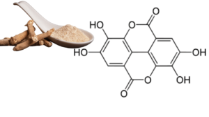 Polyphenol in ashwagandha