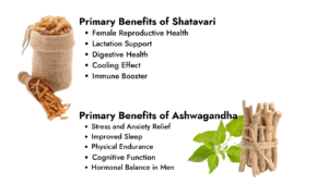 Shatavari VS Ashwagandha