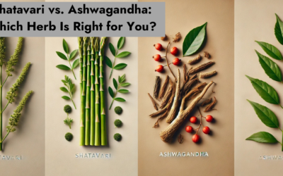 Shatavari vs. Ashwagandha: Which Herb Is Right for You?