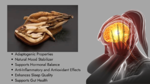 Shatavari reduces stress