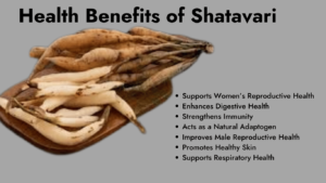 Health benefits of shatavari 