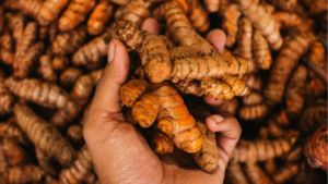 Storing turmeric root