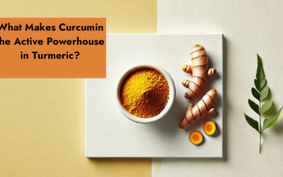 What Makes Curcumin the Active Powerhouse in Turmeric?