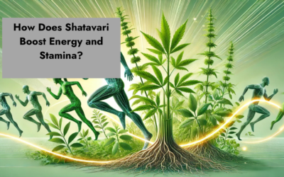 How Does Shatavari Boost Energy and Stamina?